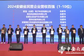16718.45亿！安徽百强民营企业规模实力持续增强图片