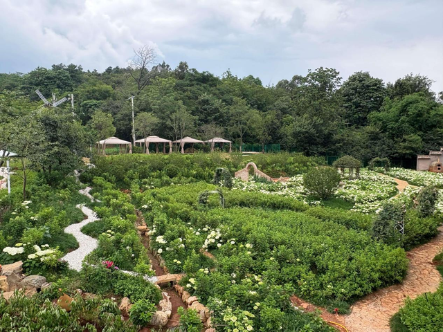 三宝街道宝藏玩法大揭秘！营地乐园、垂钓采摘、温泉美食、古寺山野...近郊遛娃度假首选地！