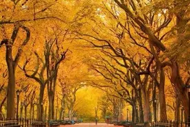 内心平静，历尽岁月山河，依旧感觉人间值得图片