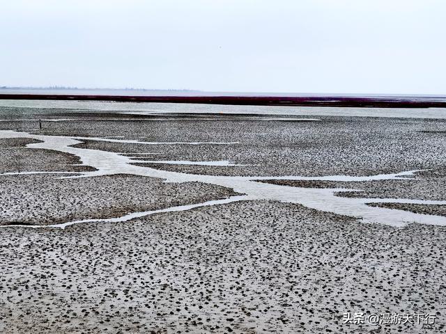 分享一个免费的红海滩，景色一点不差盘锦红海滩，