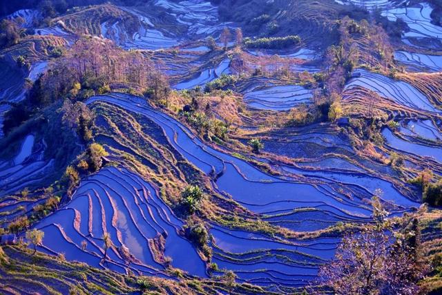 这个元旦，来元阳观赏梯田光影，参加百米长街宴吧