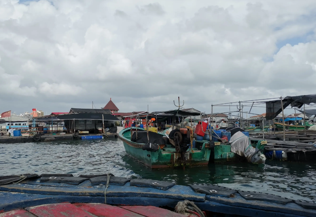 抱紧美日大腿，停飞中国航班、拒绝中国游客的小国，现状如何？