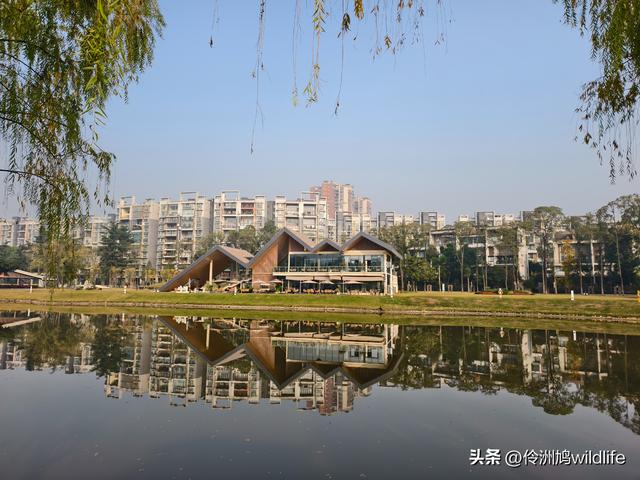 四川行(75)广汉②金雁湖公园·黑塔街·龙居寺