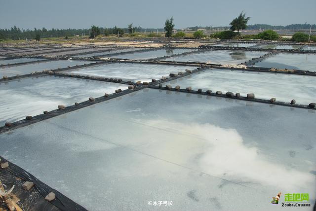 中国大陆最南县，去看大陆最南的海，不仅有海还有“菠萝的海”！