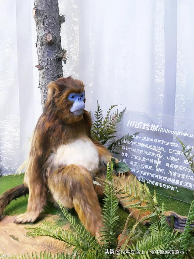 汉中巨型冰瀑奇观惊艳上线!