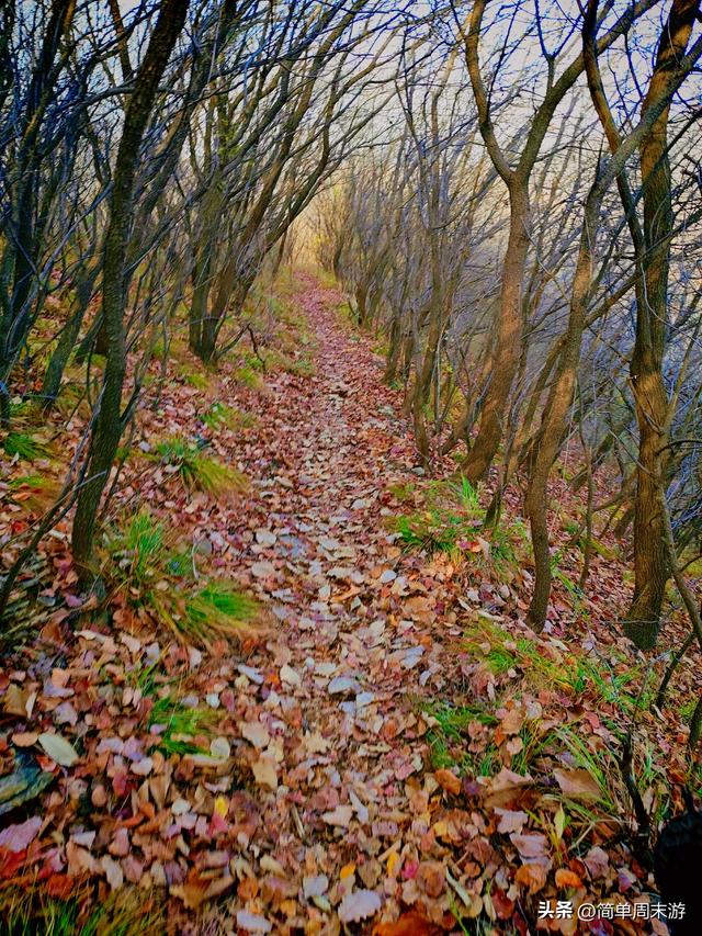 18）徒步偃师黄金大草原，28人19公里虐途里，藏着徒步最本真的快