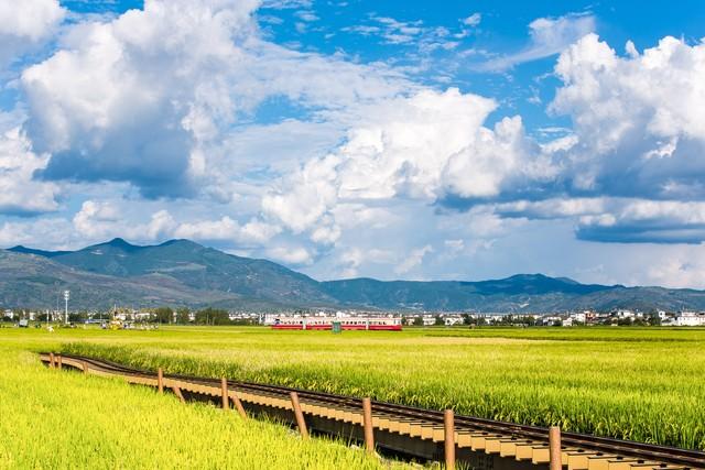 中国最美的3趟火车，坐过一趟便是人间值得！