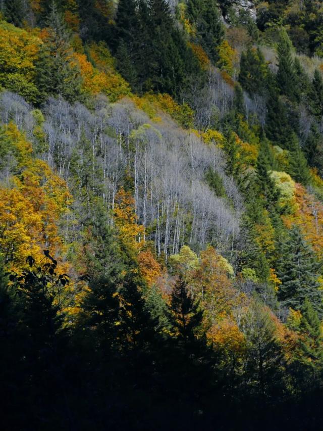 立冬启新章 | 在 4860冰川之巅邂逅冬日限定美好