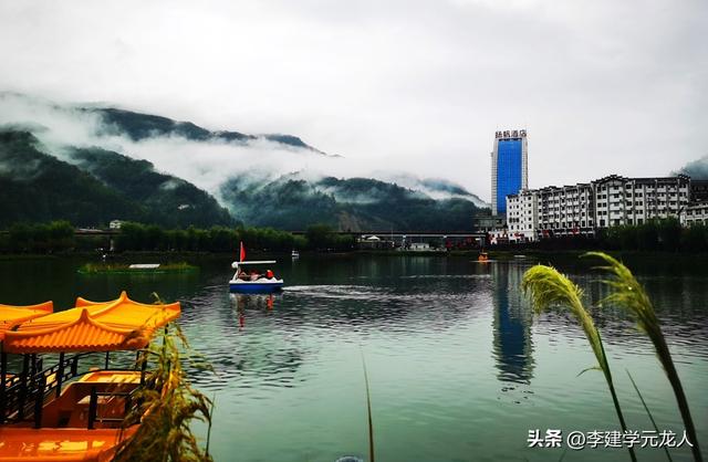 烟雨后柳