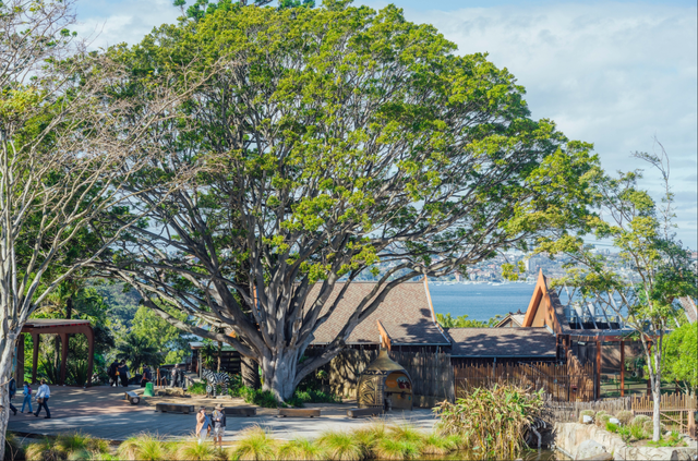 今年冬天，我想去这里过夏天