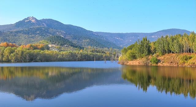 注意！“天才画家”正在肥城市高新区执笔挥毫！惊喜呈现！
