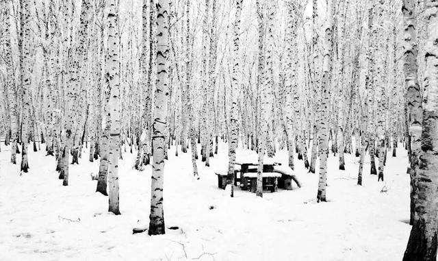 冬季呼伦贝尔海拉尔、阿尔山、满洲里、根河不冻河、漠河、北极村