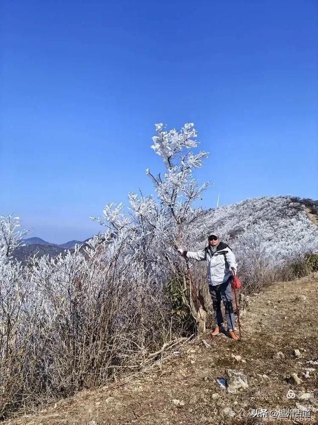 邂逅2026年的第一场醉美雾凇！温州四海山的雾凇美爆了！
