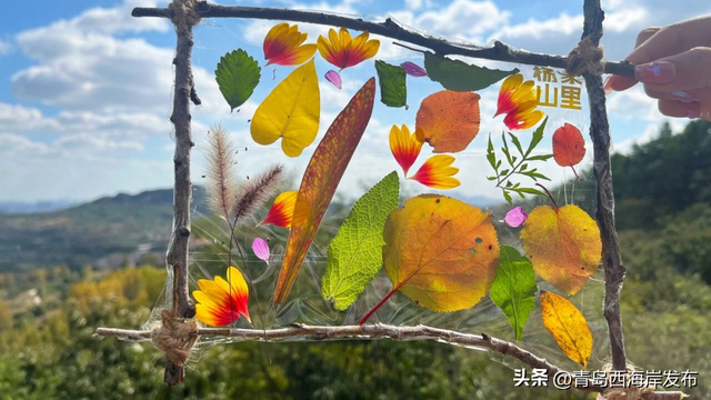 小众玩法上线，“反向游”西海岸！