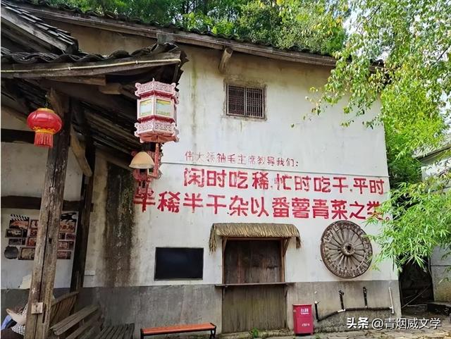 2025 凉雾之夏