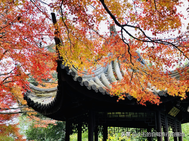 苏州暴走攻略！8大景点保姆级打卡指南，本地人看了都直呼内行！