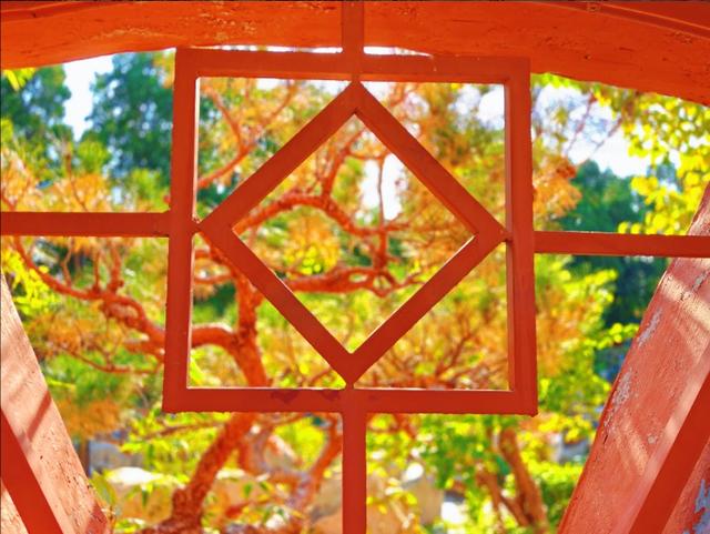 彩林映湖光 泰山虎山公园初冬画卷引客来