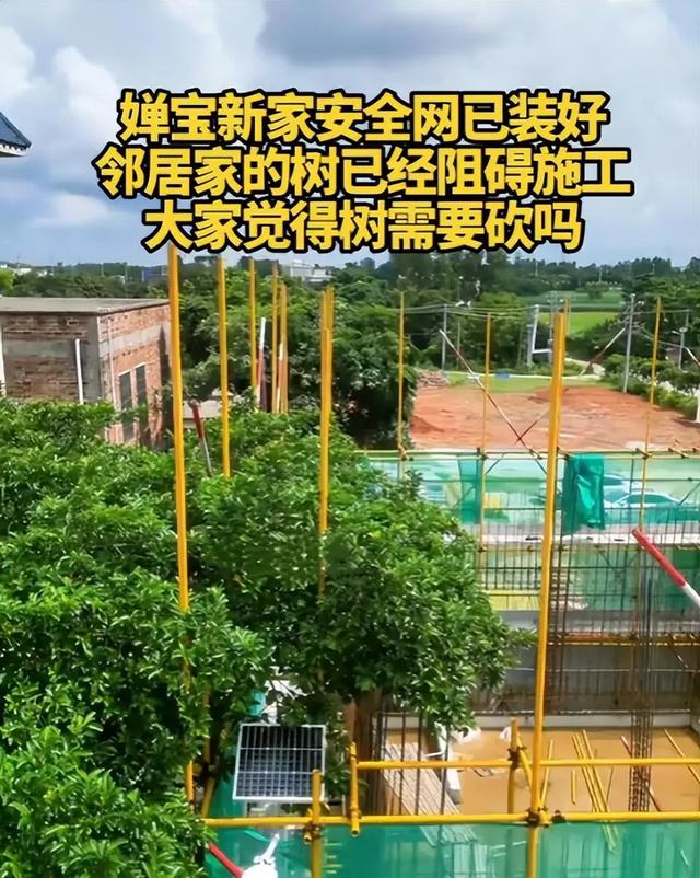 全红婵家新房建设最新进展：遭遇施工阻碍，邻居拒绝修剪树木。