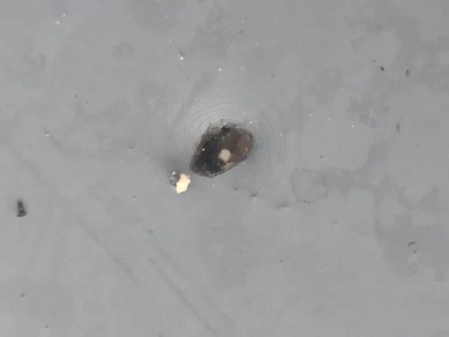 两架无人机在上海环球金融中心风洞处对撞坠至96层，飞手已被行政处罚