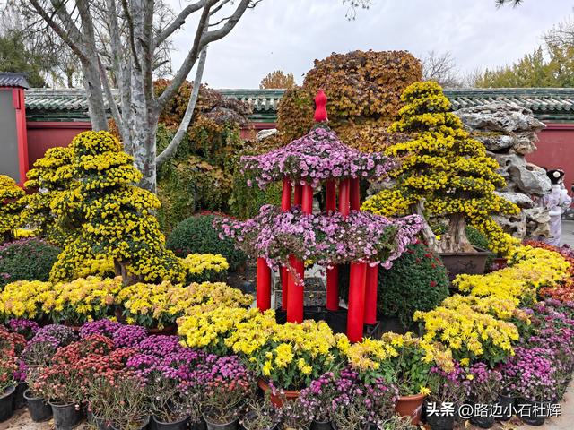 从童年嬉闹到诗意园林——一个北京土著的北海公园记忆