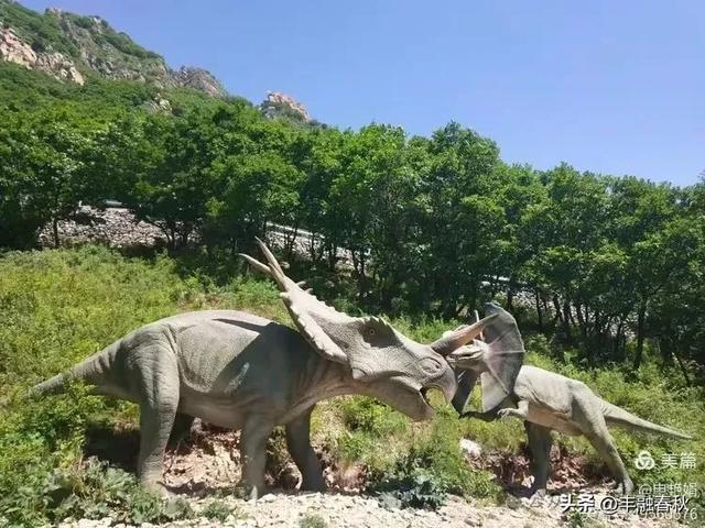 探秘北京房山百瑞谷，邂逅自然的奇幻之美｜申艳娟