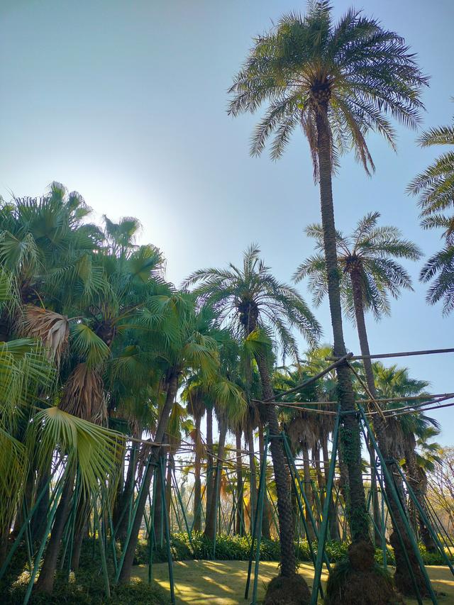 瓯越风情（三）：温州·诗屿浮江与市井温润