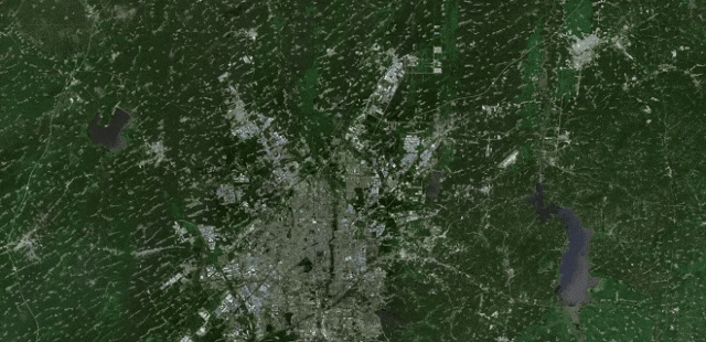 在吉林，什么是根？