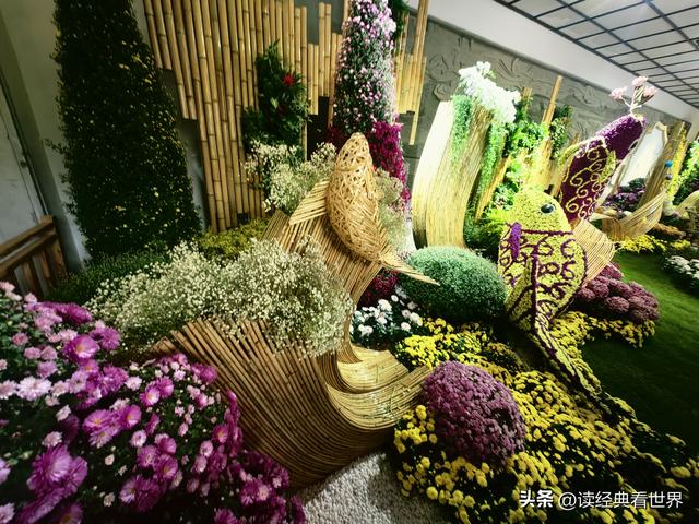 杭州植物园的菊花展——一场关于菊花的饕餮盛宴（一）