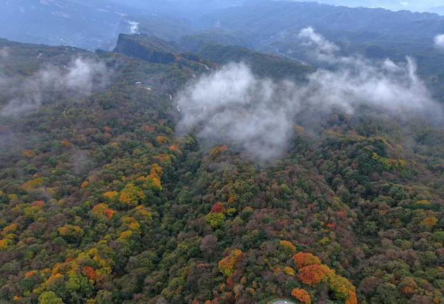 一步一景！旺苍盐井峡五彩斑斓，就像秋日童话甚是迷人！