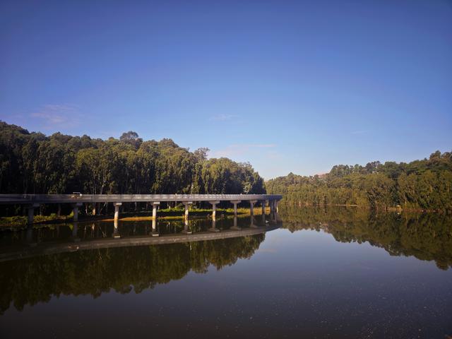 龙华新“骑”点，奔向2026骑行随拍1129