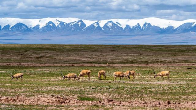 别拿生命开玩笑，中国四大无人区到底有多吓人？可能进去就出不来