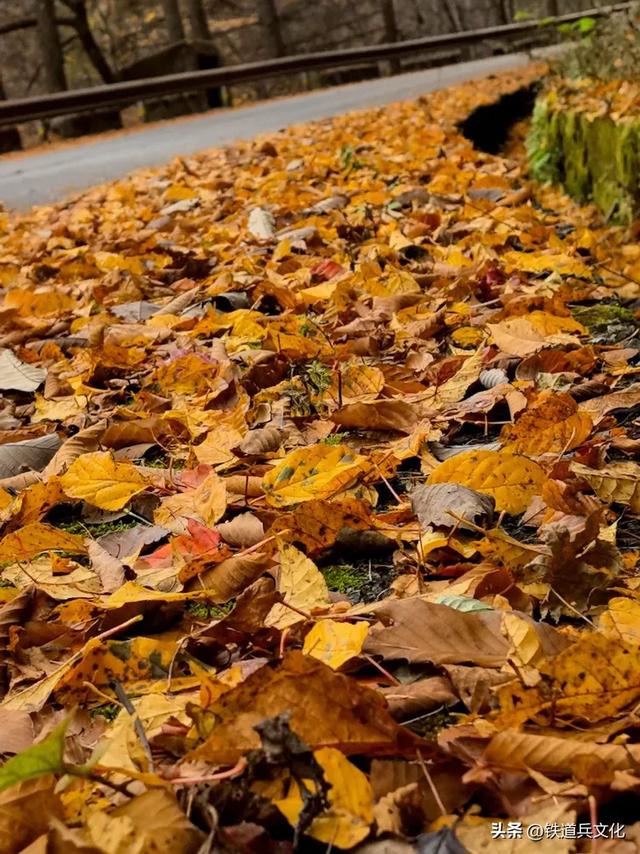 车过神农架【原创】作者：原铁十师陶玉和