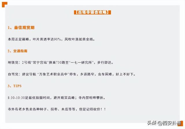 古观音禅寺谢幕？这里的千年银杏，才是最后的隐藏彩蛋！