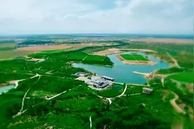 中国在沙漠养了10万只海虾，只用一招就解决了核废水问题图片