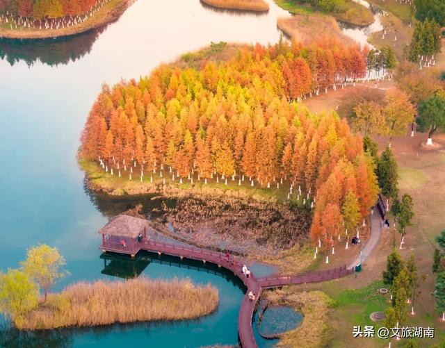 限时绝美!长沙初冬“顶流”上线