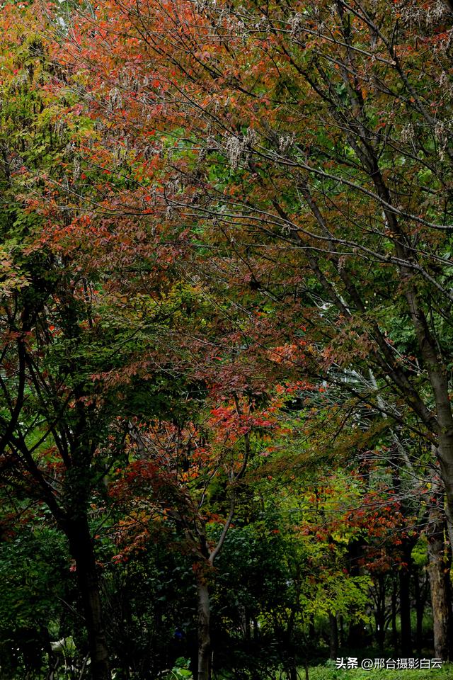 达活泉，这才是秋天该有的样子（图）
