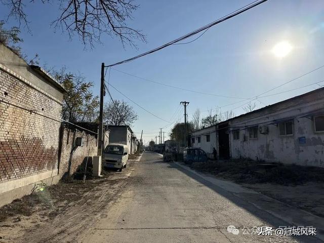 冠县乡韵·贾镇岑庄