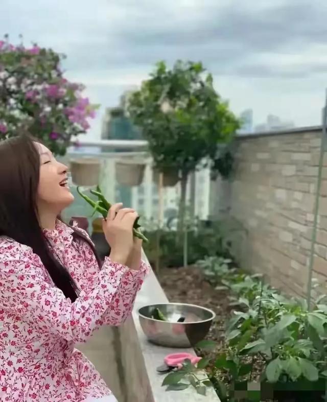 杨钰莹自家豪宅种辣椒 有收获了 50多岁了 精致的像18岁少女 绝了