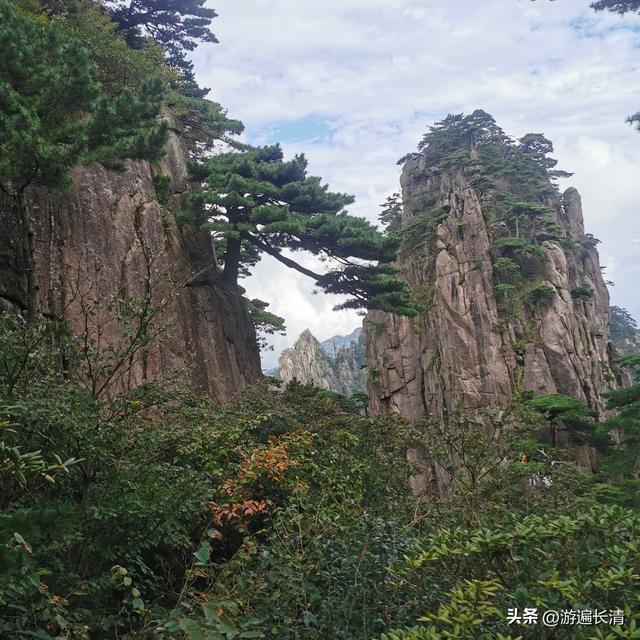 &062.黄山四日游（一）