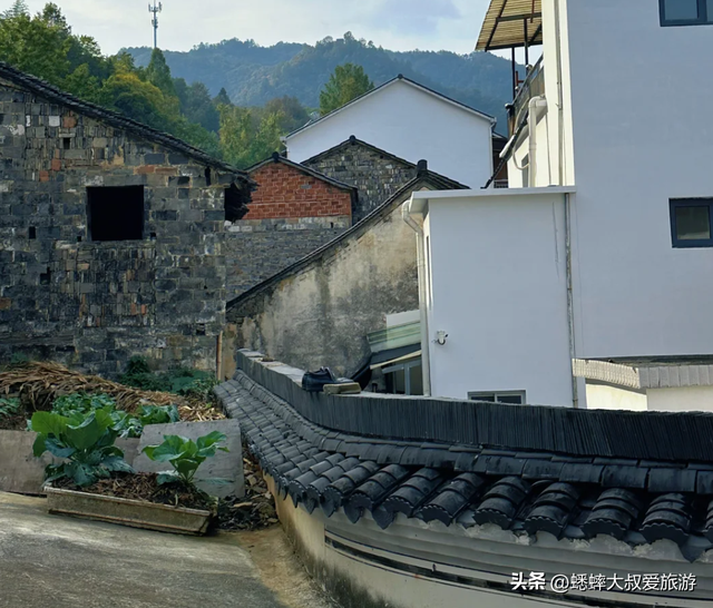 “900岁”杭州山村，秋日绝美如画，可享受顶级大师设计审美！