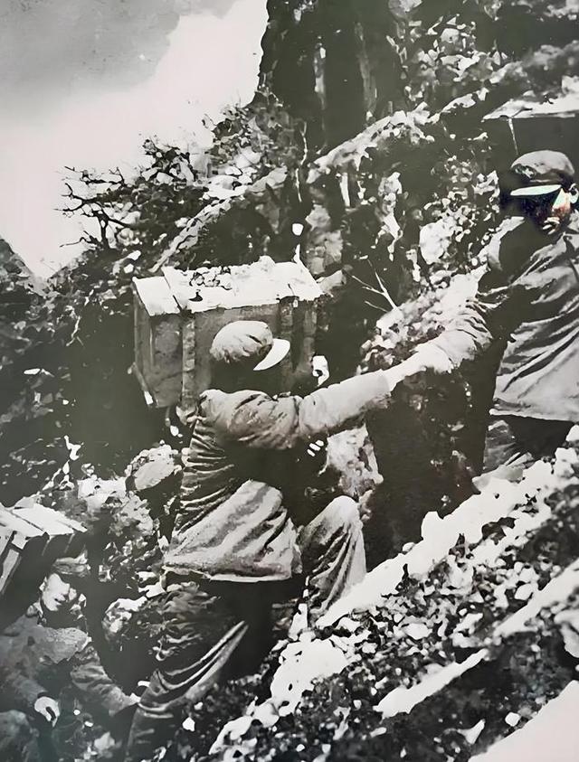 新疆独库公路之旅