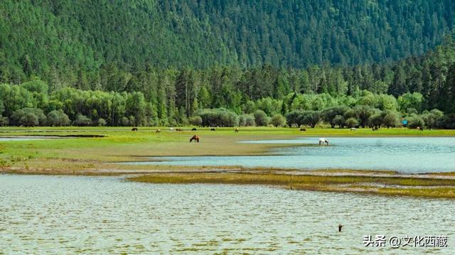 哇塞！西藏这里美出天际！冰川彩林，美成仙境！