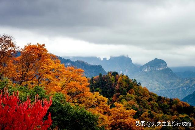 把秋天装进相册！这8个神仙目的地，让你拍出封神大片！