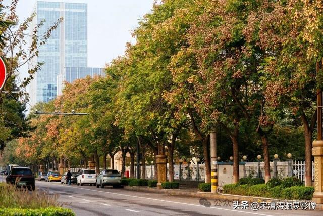 陕西渭南：天晴了 高新区时代广场秋色盎然