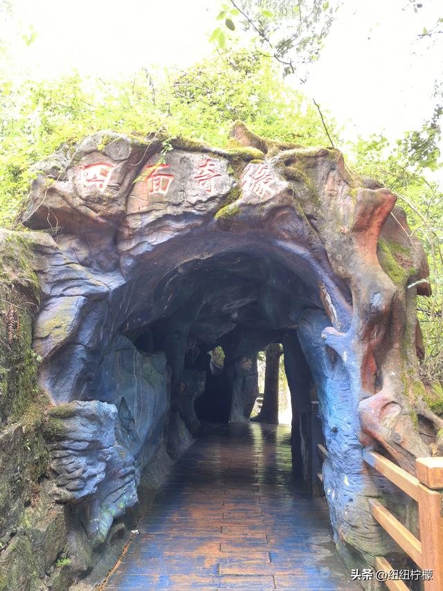 在江津四面山景区看了瀑布爬了梯，又坐了超级滑道听了潺潺流水声