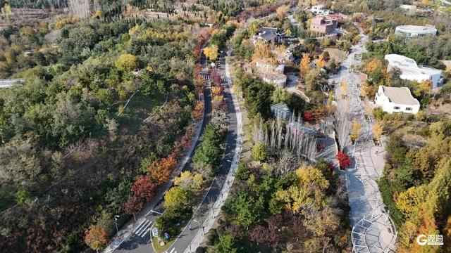 【绿色打卡地】处处皆美景,初冬的世博园被焦糖色填满