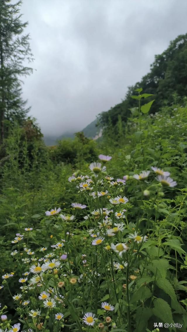 本溪小芹沟—五顶山—大西沟穿越,夏练三伏
