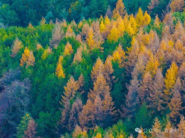 镜瞰秦州·悦秋