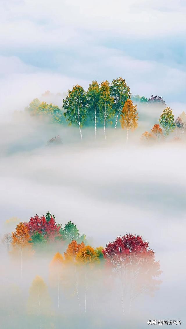晨雾如纱,轻轻缠绕着远山近林