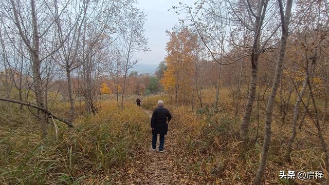 80多岁的老人爱上户外徒步